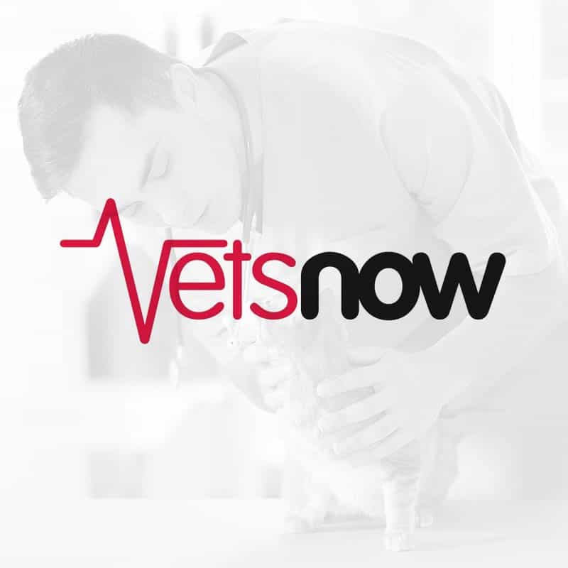 Vets now hot sale emergency