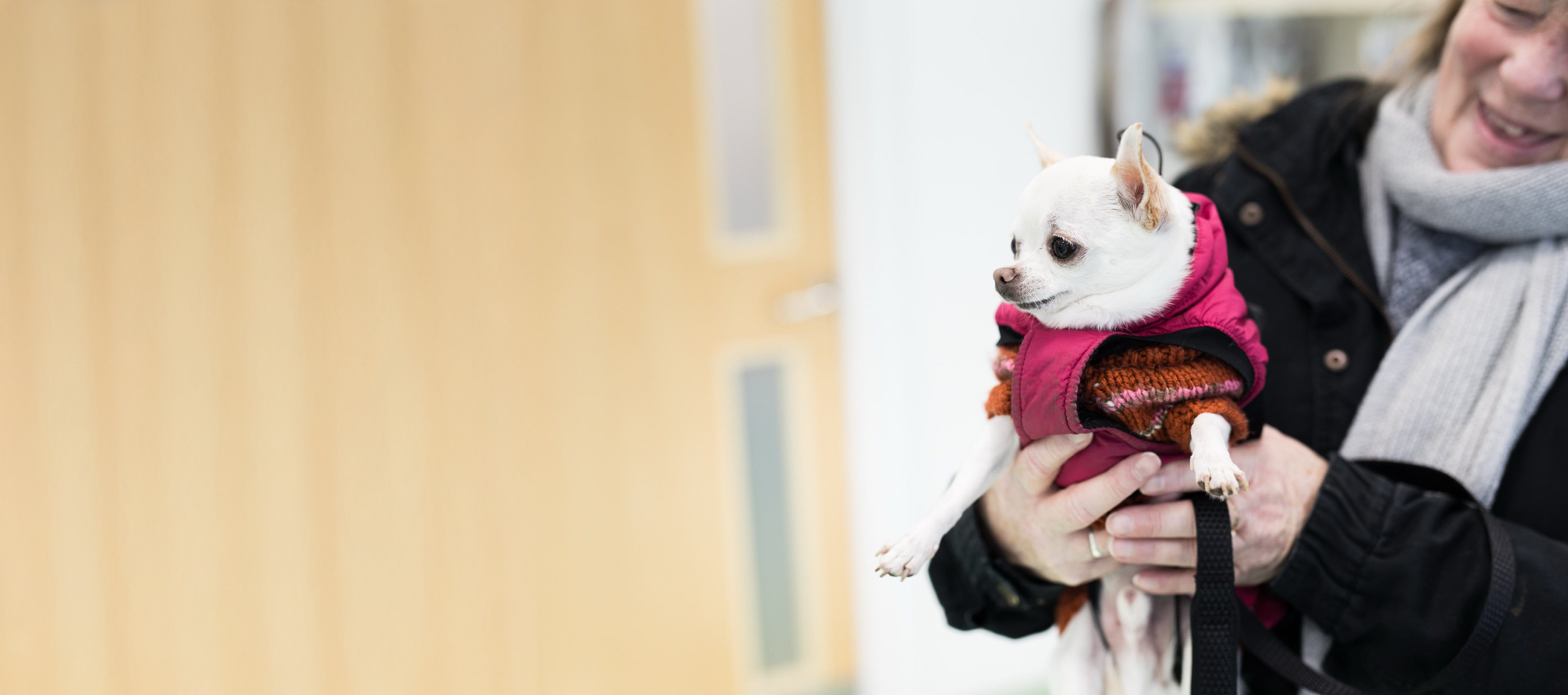 Pet Health Plans
