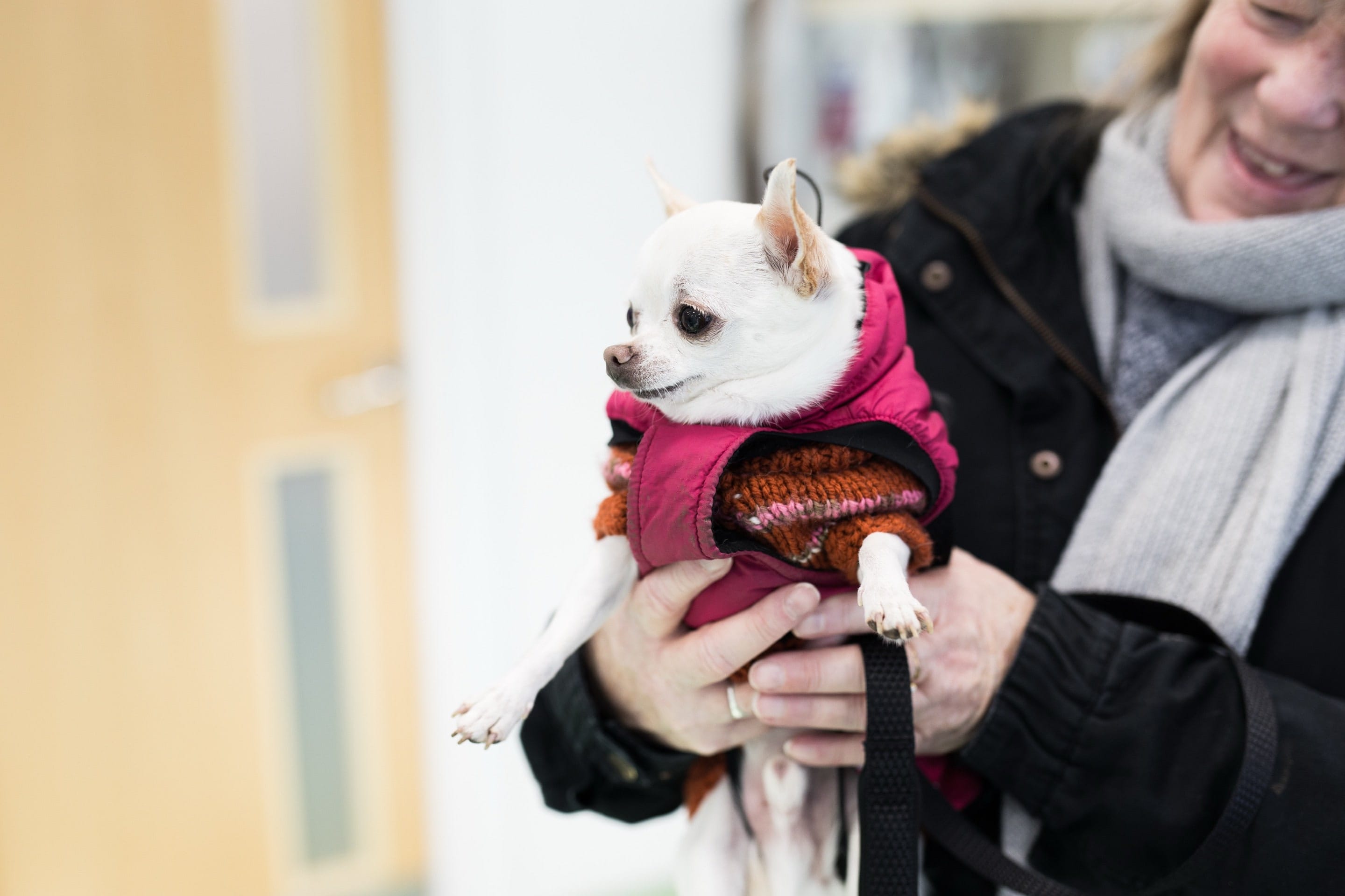 Pet Health Plans