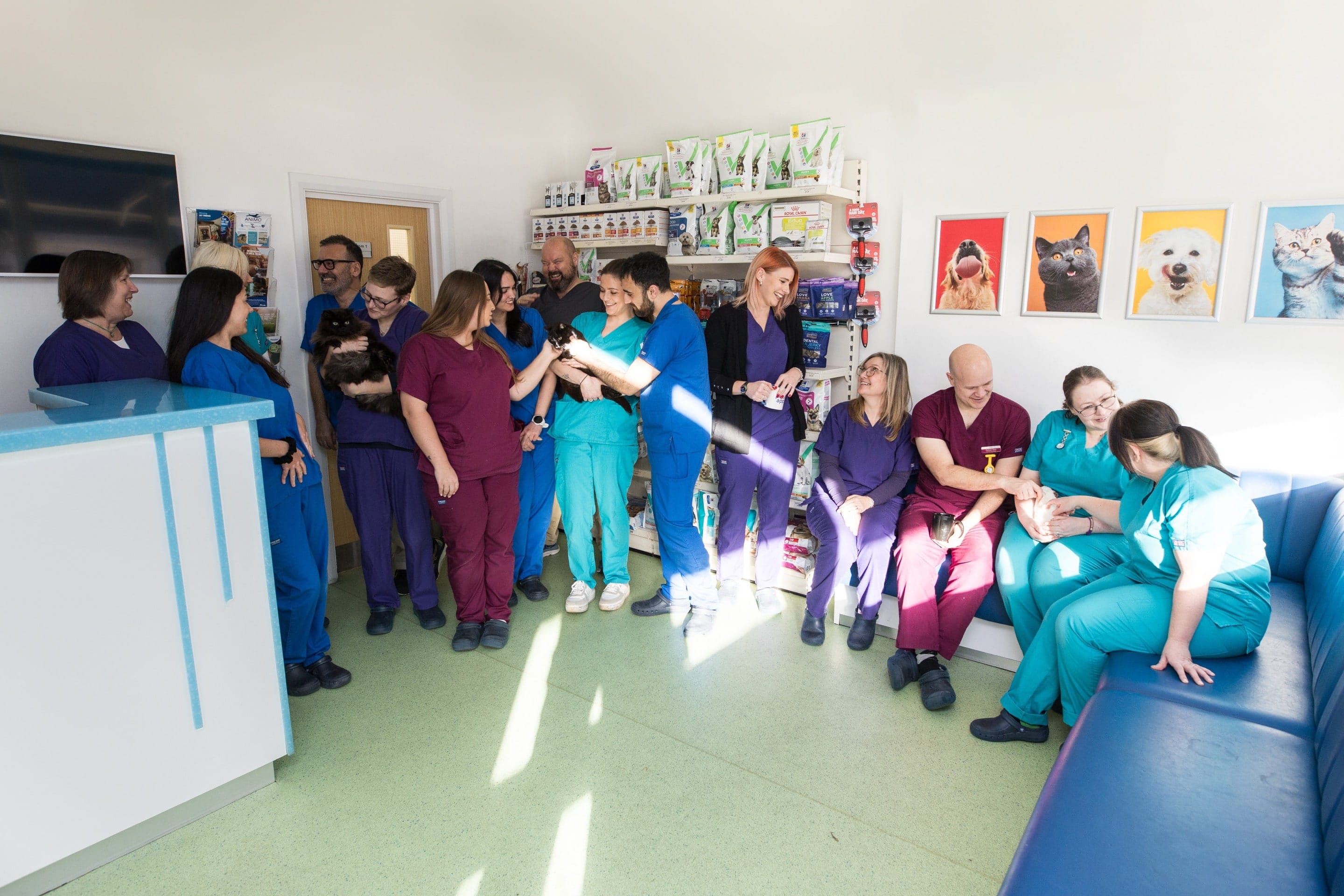 Abbeywell Vets