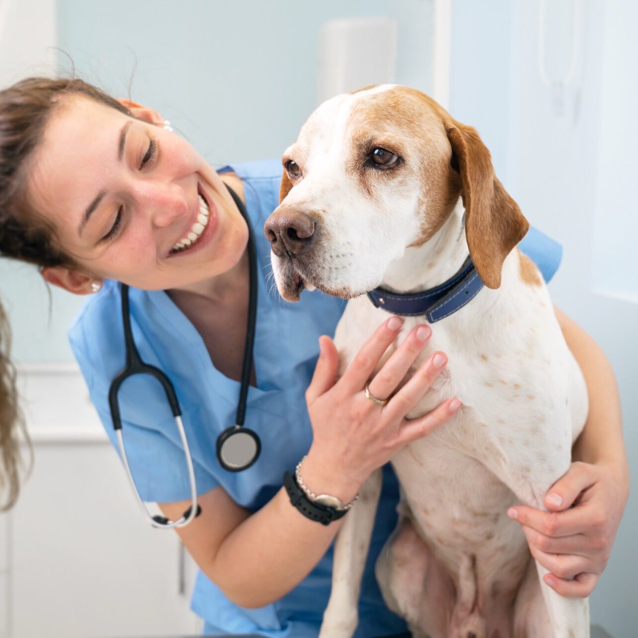 vet with a dog