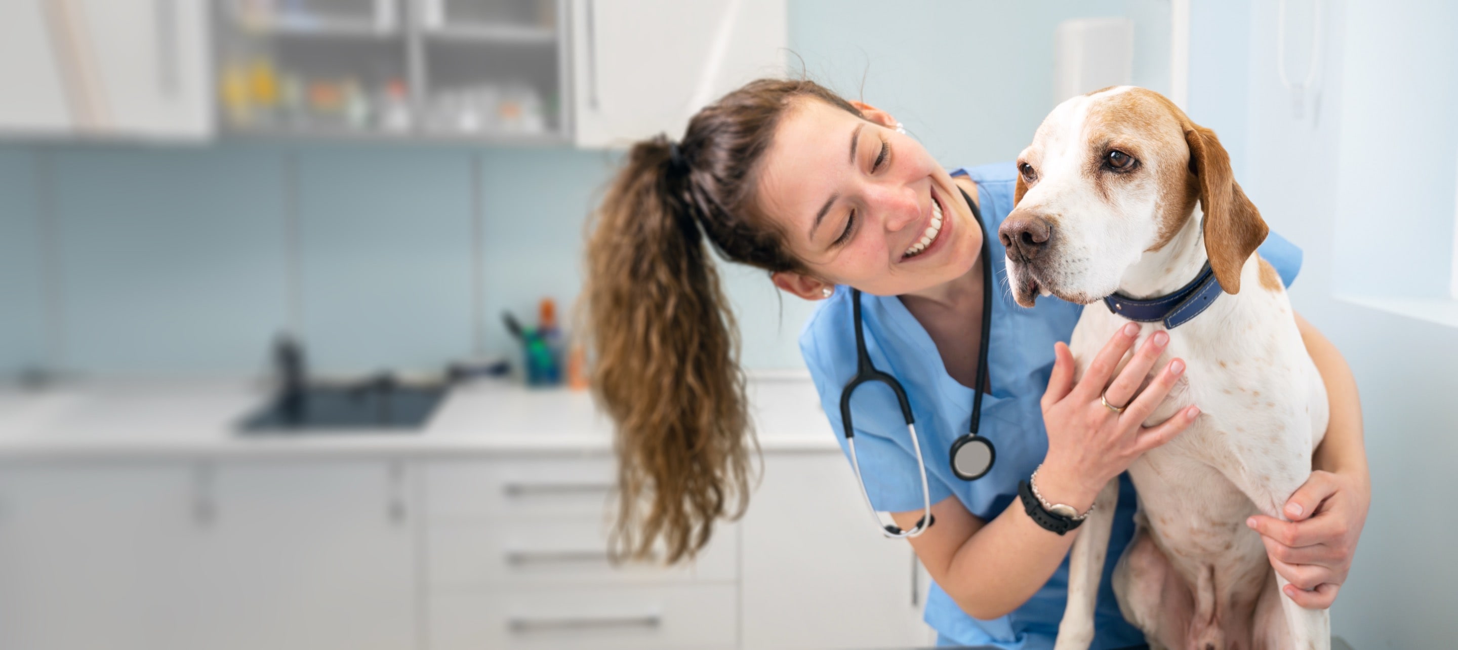 vet with a dog